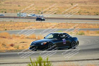 media/Oct-05-2024-Extreme Speed (Sat) [[dcd4a721fe]]/Low Inter/Session 2 (Turns 4 5 and 6)/